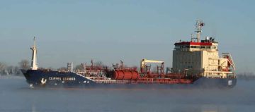 CLIPPER LEANDER